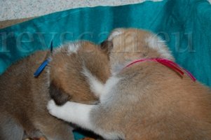 12 já ne..a já snad jo...to si vypiješ.jpg